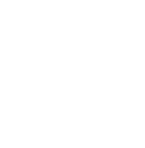Logo Willa Tatrzańska - białe